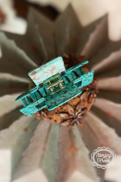 WILD CHEROKEE HAIR CLIP